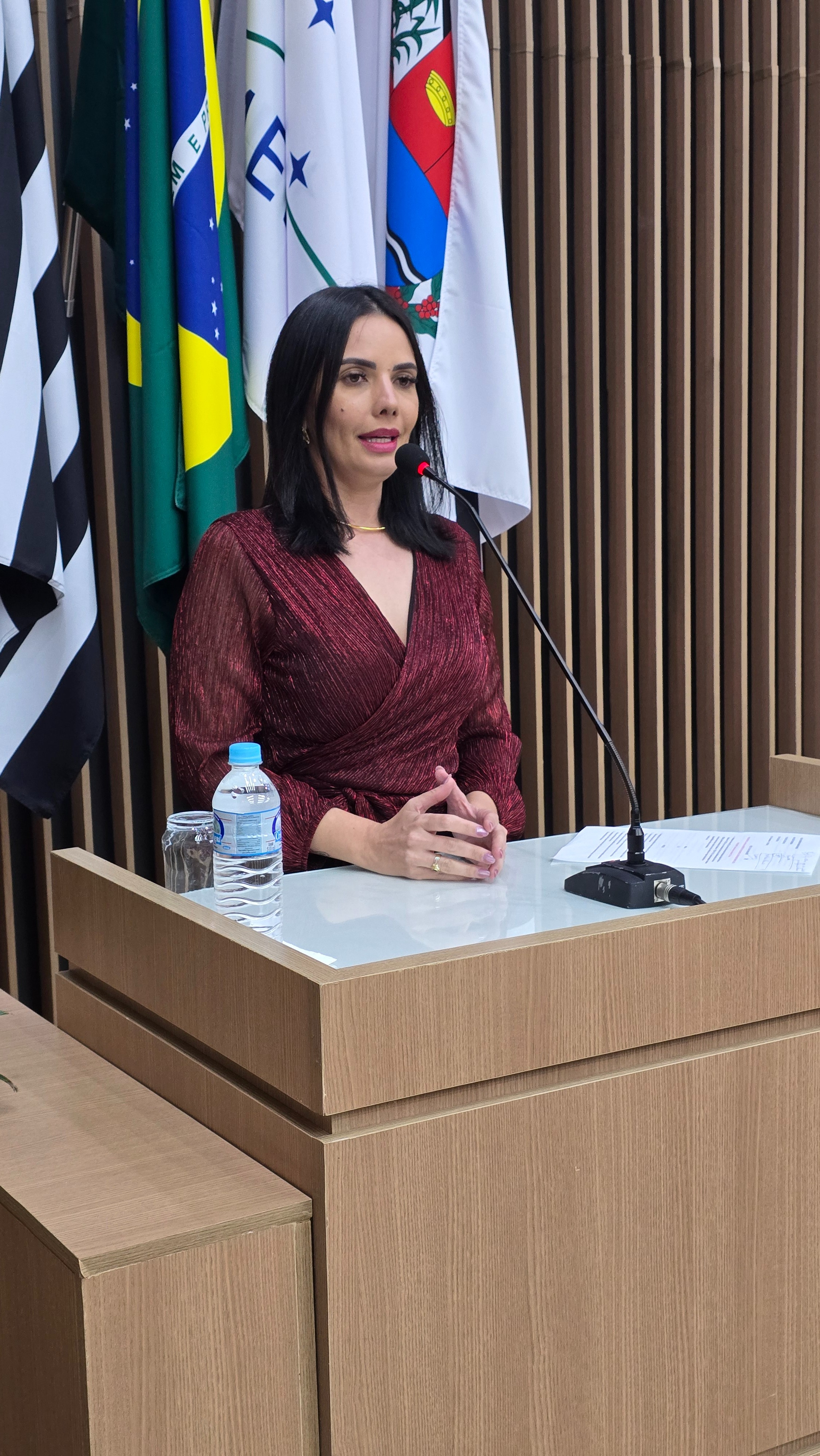 Visualize fotos 15/12/2025 46ª Sessão Ordinária